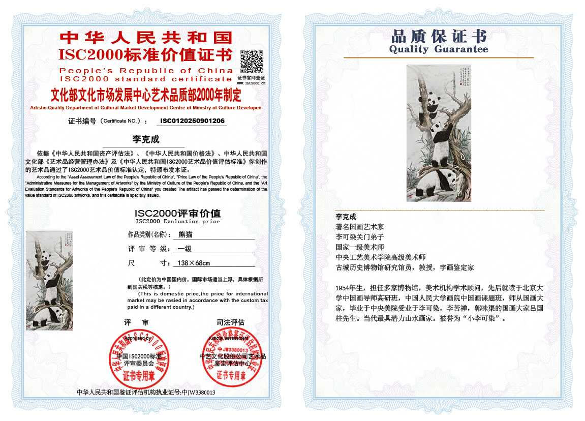 李克成206《熊猫》