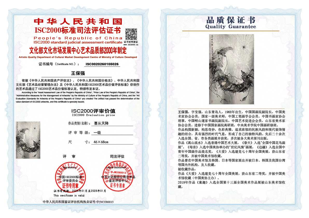 王保强026《喜从天降》